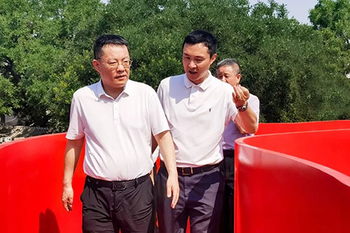 加拿大28预测网